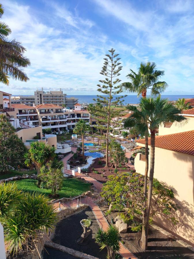 Albatros Park Amarilla Golf Piscina Climatizada, Wifi Διαμέρισμα Σαν Μιγκέλ ντε Αμπόνα Εξωτερικό φωτογραφία