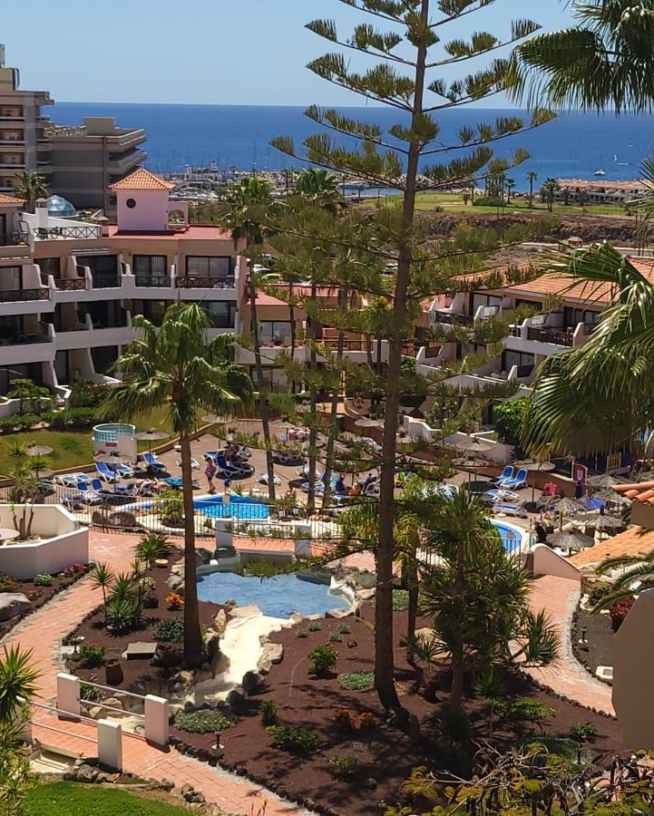 Albatros Park Amarilla Golf Piscina Climatizada, Wifi Διαμέρισμα Σαν Μιγκέλ ντε Αμπόνα Εξωτερικό φωτογραφία