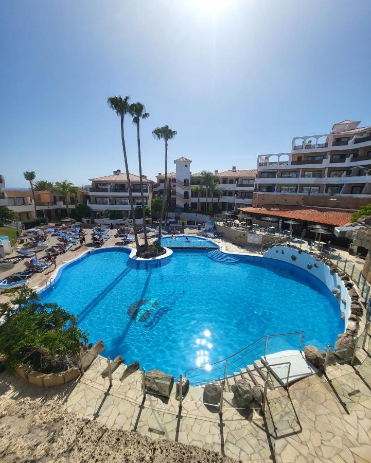 Albatros Park Amarilla Golf Piscina Climatizada, Wifi Διαμέρισμα Σαν Μιγκέλ ντε Αμπόνα Εξωτερικό φωτογραφία